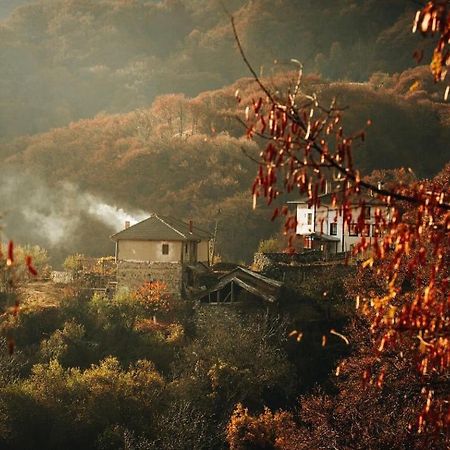 Yancheva Guest House Delchevo Zewnętrze zdjęcie