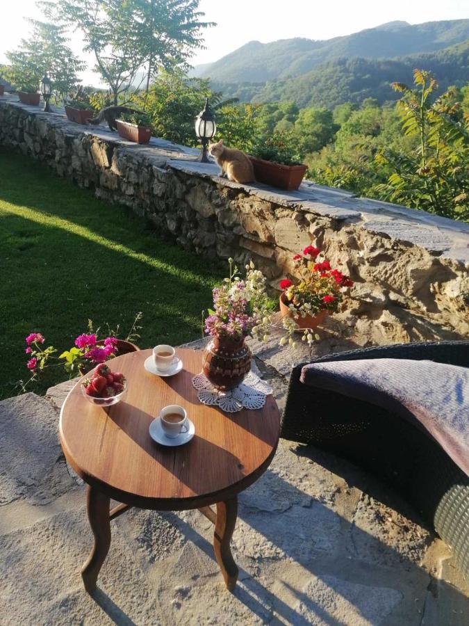 Yancheva Guest House Delchevo Zewnętrze zdjęcie