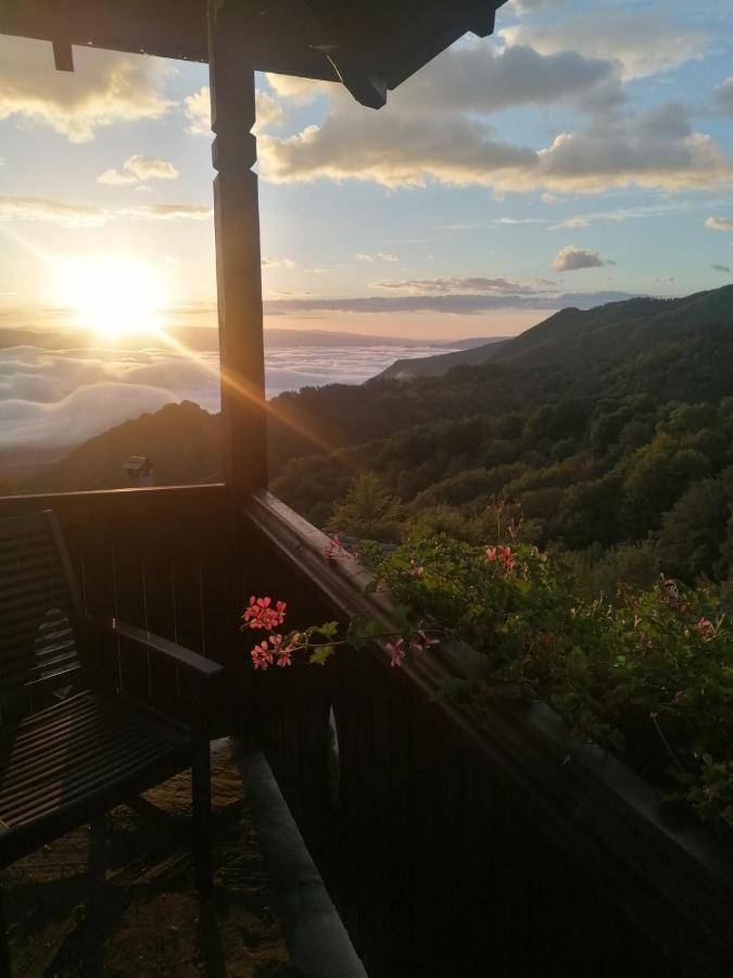 Yancheva Guest House Delchevo Zewnętrze zdjęcie