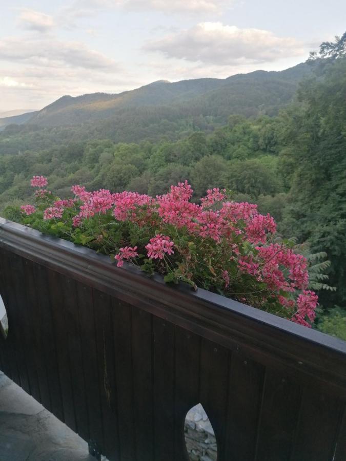 Yancheva Guest House Delchevo Zewnętrze zdjęcie